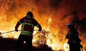 INCÊNDIO ENTRE ALFENA E VALONGO MOBILIZA GRANDE OPERACIONALIDADE