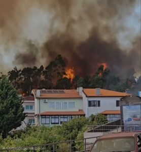 INCÊNDIO AVANÇA DE BAGUIM DO MONTE PARA O ALTO DA SERRA E CORTA A EN15